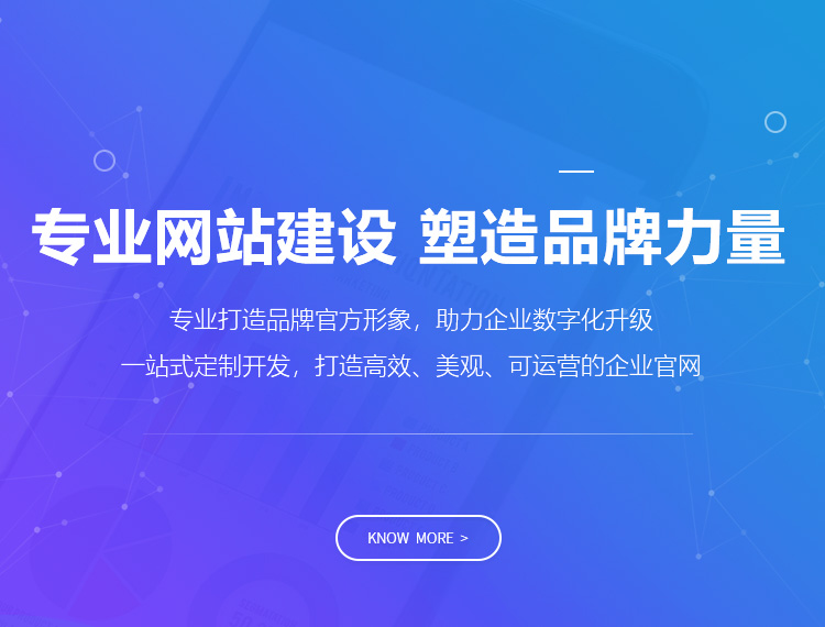 黔西建站-专业网站建设 塑造品牌力量